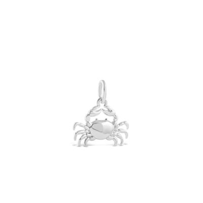 Jewelry Dune Jewelry  | Collectible Travel Treasures Crab Charm