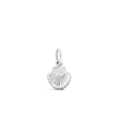 Jewelry Dune Jewelry  | Collectible Travel Treasures Sea Shell Charm