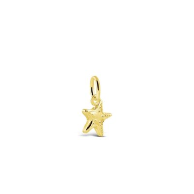 Jewelry Dune Jewelry  | Collectible Travel Treasures Starfish Charm – 14K Gold Vermeil